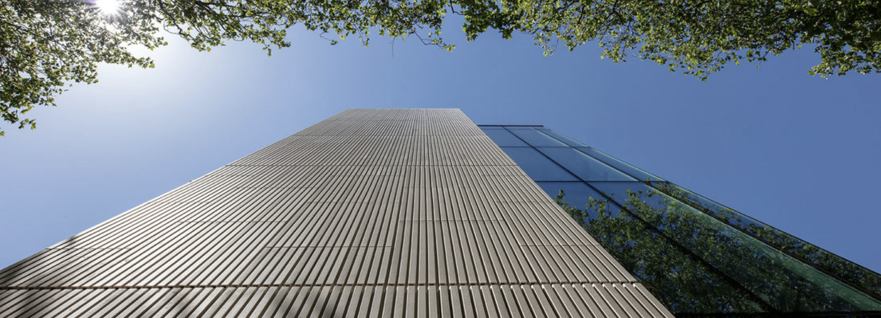 Circle Rehabilitation Hospital in Birmingham. Architecture by DfMA architects Bryden Wood